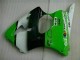 Kawasaki ZX6R 2000-2002 Motorrad Verkleidungen - Grün Schwarz